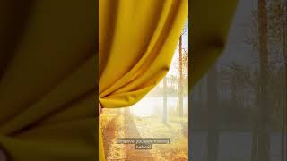 Why You Forget Why You Entered a Room