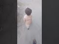 Cute Baby Boy Exploring Everywhere 😍 | Shar Era #shorts#viral