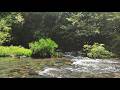 Peaceful Flow River ASMR 🌊 No Rain No Music – Pure Water Sounds for Deep Sleep