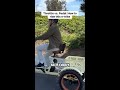 Throttle vs. Pedal: How to ride this e-trike