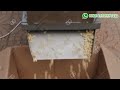 How to Peel Red Skin Peanuts in Factory? - Roasted Peanut Peeling Machine