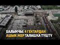 Балыкчы: 4 гектардан ашык жер талашка түштү