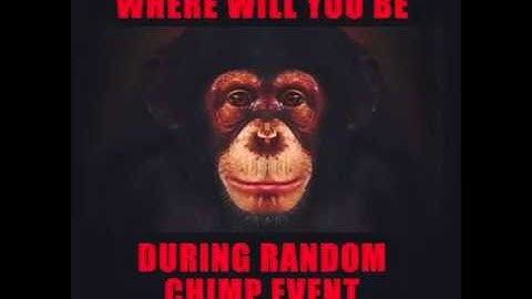 RANDOM CHIMP EVENT (WARNING GRAPHIC)