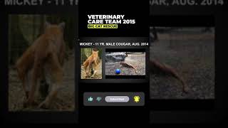 Vet Care Presentation By Dr. Boorstein~Part 40 Of 59