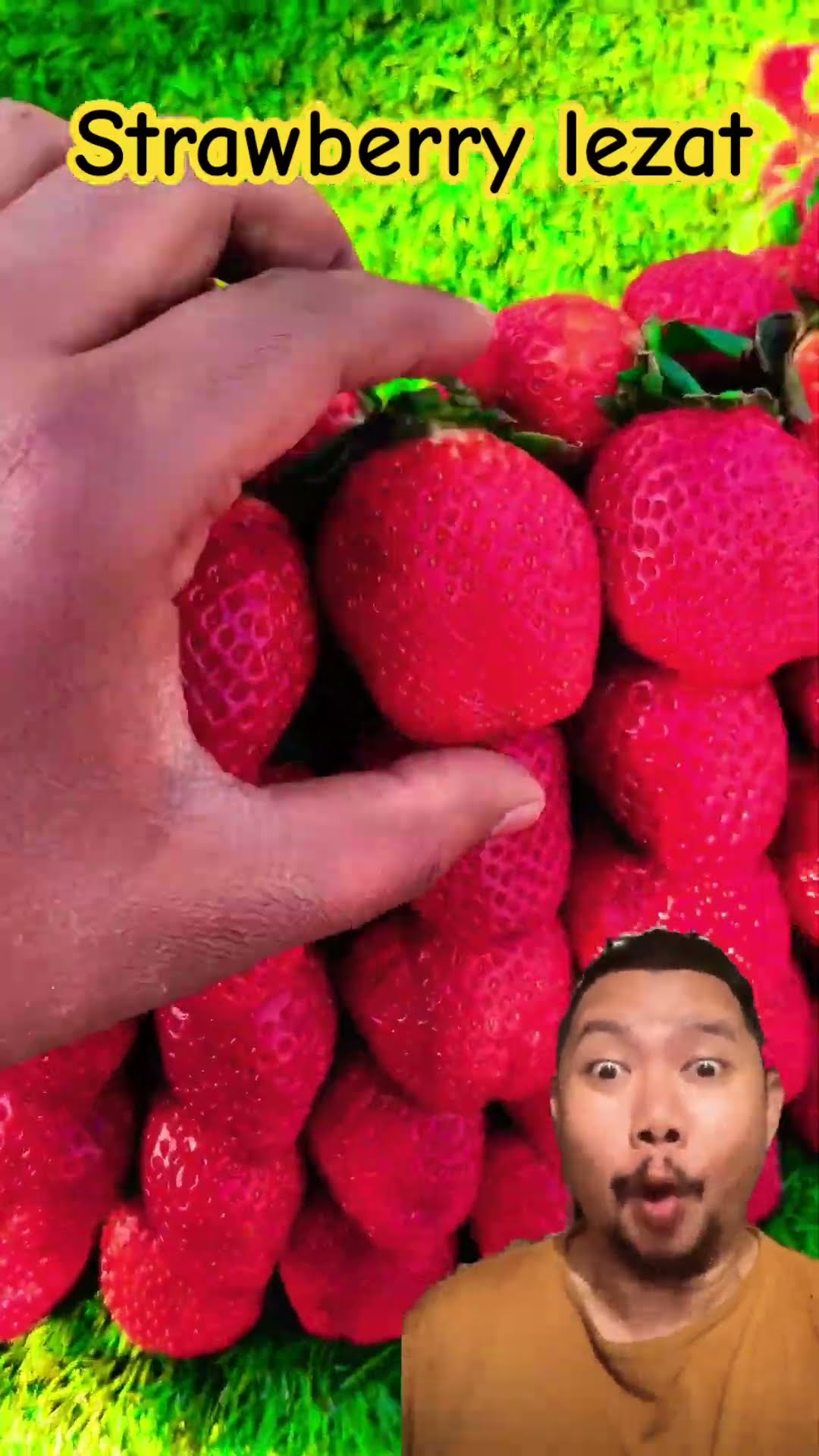 PENJUAL STRAWBERRY BAIK HATI!!?? #funny #comedy #food #shortsfeed #cute #strawberry