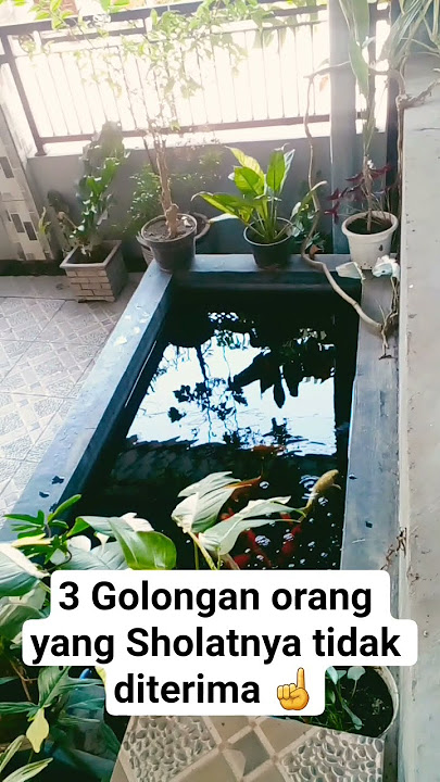 3 Orang yg Sholatnya tidak diterima Alloh Swt #artis #amalankebaikan #beritaterkini #beritaterbaru