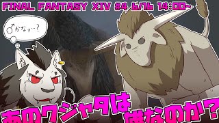 【FINAL FANTASY XIV】 #4 荒れ果てた地上に立ち 空に牙をむく 【ファイナルファンタジー14】
