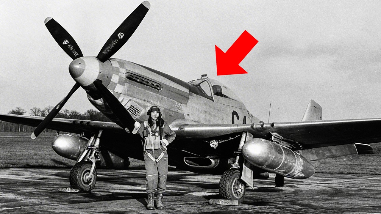 They Called the P 51 “Too Late to Matter” … Then Berlin Burned in Daylight