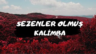 Sezenler Olmuş - Kalimba Resimi