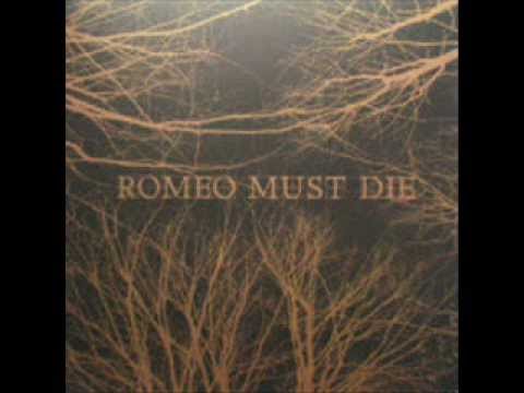 Romeo Must Die (3) artwork