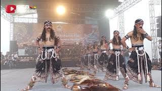 Gegerrr geden...!WAROK TURONGGO MUDO ( BUMIAYU) Live Pagersari Tlogomulyo