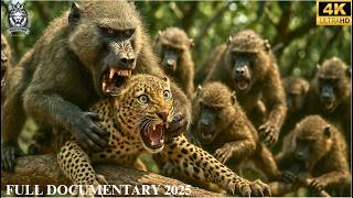 WILD ANGOLA | A Feast Written in Blood | Animal Documentary