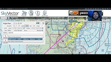 SkyVector and VFR Flight on MSFS 2020