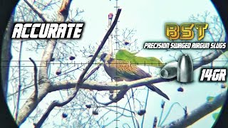 Download Lagu Berburu tekukur ‼️ full turret BST slug 14gr 😁 MP3