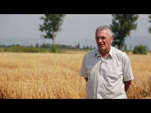 საქართველოს აგრარული და თავისუფალი უნივერსიტეტები