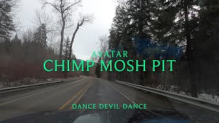 Avatar - Chimp Mosh Pit (Lyrics)