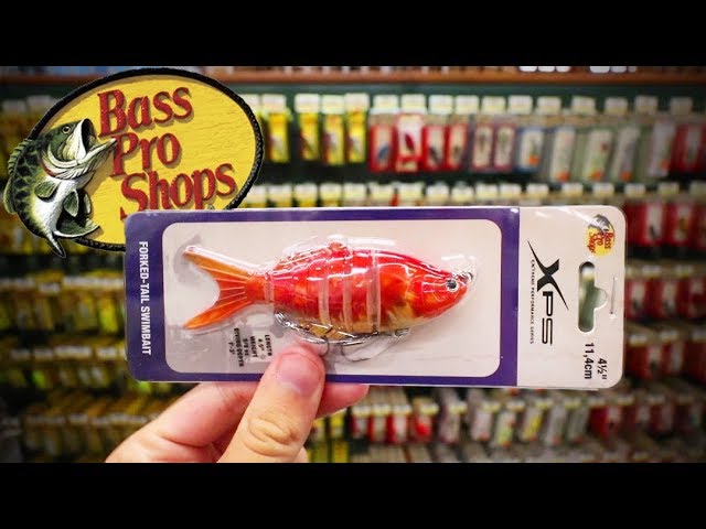 bass pro shop bait testing｜Búsqueda de TikTok