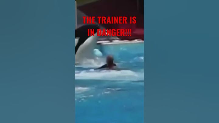 ORCAS REVENGE