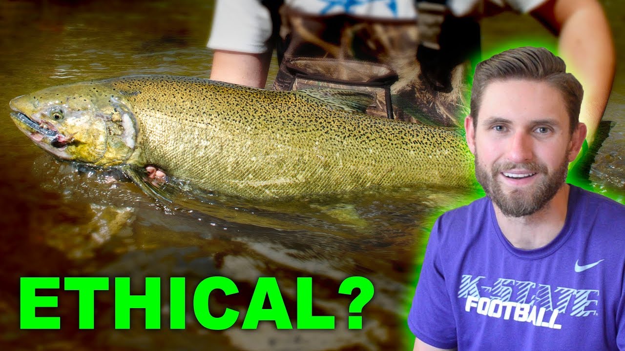 My First Experience With Salmon Fishing... - YouTube
