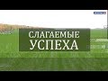 Слагаемые успеха. Уборка подсолнечника в Волгоградской области. 14.10.19