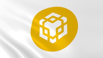 Flag of BNB (BNB) waving in the wind - Crypto Flag logo animation
