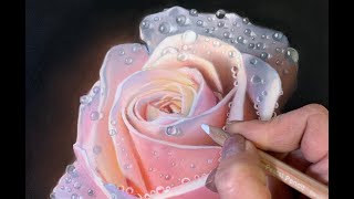 Painting a Photorealistic Rose in Pastels  Time Lapse Demonstration