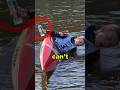 This Test Looks EasyтАж Until You Try It ЁЯШ This Test Looks EasyтАж Until You Try It ЁЯШ
