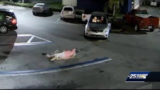 Great-grandmother acting on “instinct” when she chased down purse snatcher and was run over
