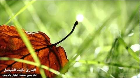 نايف الفيصل - أواخر سورة الدخان - محرم 1433 هـ