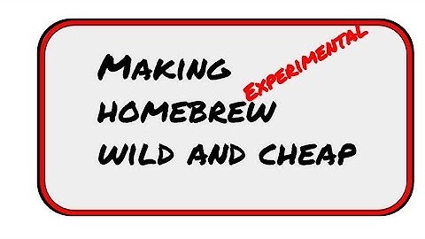 wild yeast experiment part 2