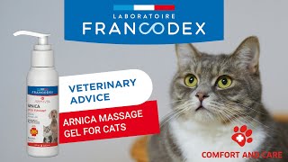 VETERINARY ADVICE  How to apply arnica gel on my cat? | Francodex