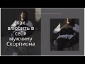 СКОРПИОН. КАК ВЛЮБИТЬ В СЕБЯ МУЖЧИНУ СКОРПИОНА?