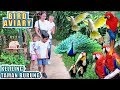 KIDDOS KELILING TAMAN BURUNG | BIRD AVIARY | ROYAL SAFARI GARDEN RESORT & CONVENTION 2019