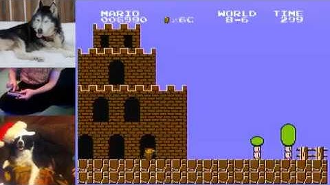 8-1 framerule save on FPG rom hack from savestate