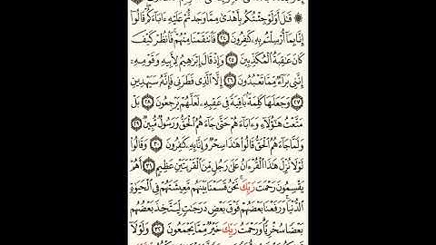 سورة الزخرف الصحيفة رقم 491 بصوت المقرئ فضيلة الشيخ د.أحمد عبد الرحمن الخجا الدمشقي الشافعي 🌸 