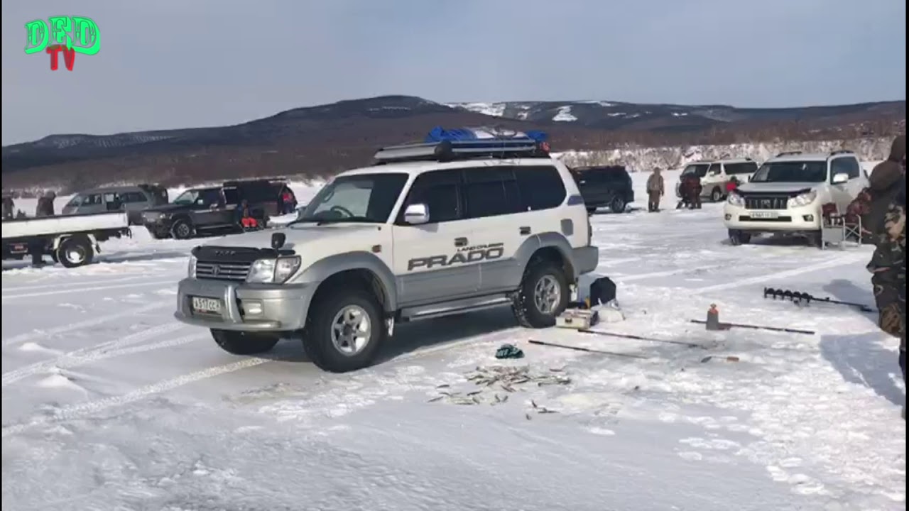 Погода де кастри рп5. Де-Кастри Хабаровский край. П де Кастри Ульчский район. Бухта де Кастри. Залив де Кастри.