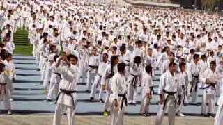 attempt for guinness world record for largest kata performance uae