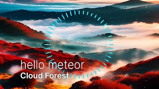 hello meteor - Cloud Forest