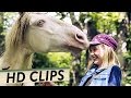 WENDY - DER FILM Filmclips + Trailer Deutsch German (HD) | Pferdefilm 2017