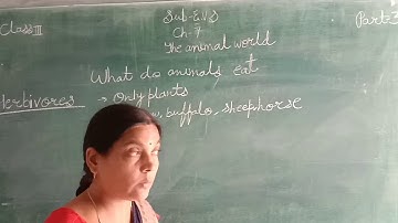 EVS Ch-7 The animal world part-3 class-3
