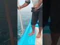 ناخدا رستم گلم ماهی شیر سکن هامور دارو عسلویه بوشهر دریا لودر Love Like Live Shorts 