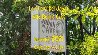 La Cueva del Jabali   Cayo Coco   Cuba