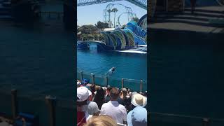 06/11/18 - Seaworld9