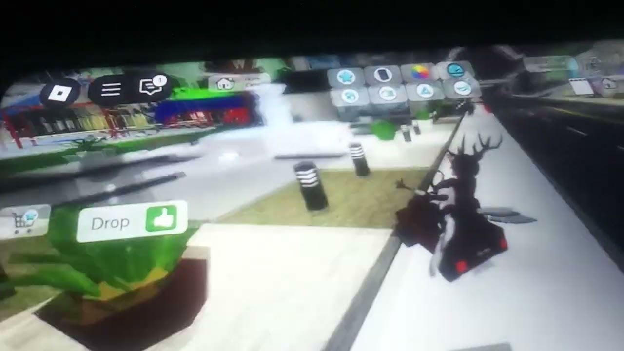 Bros went flying owl + deer 7