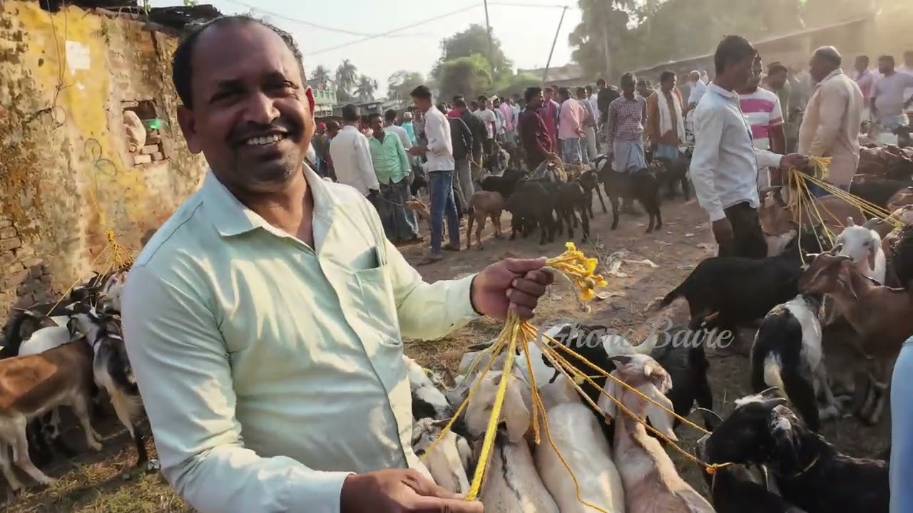 পশ্চিমবঙ্গের সব থেকে সস্তা ছাগলের হাট | Biggest Wholesale Goat Market in Kolkata | Chagoler Haat |