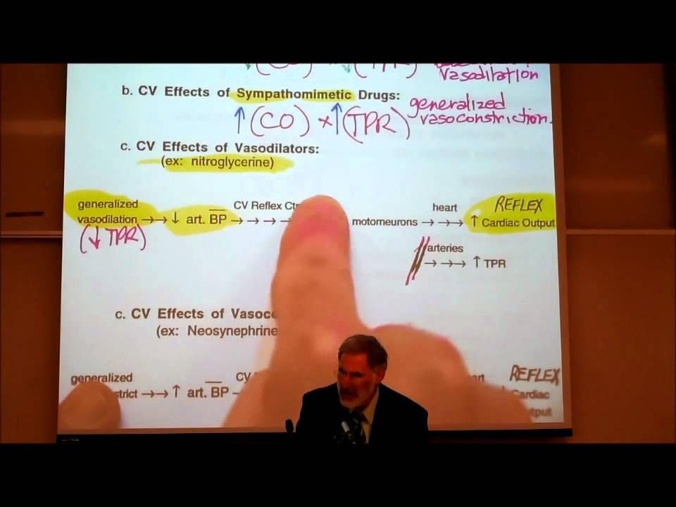 AUTONOMIC DRUGS; PART 2; Epinephrine & Dosage Calculations by Professor Fink