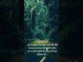 uttha kr talwal #motivation #motivational #studyshorts #studystrategy #viralstudy #viralvideo