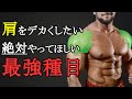肩トレでデカくなりたいならこれをやれ！三角筋最強種目と筋トレ法を科学的に徹底解説！