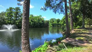 Dji Osmo Pocket 3 Walking Tour St.Charles Trolley Audubon Park to Audubon Zoo Entrance