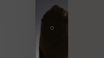 ضمني واستر جروحييي بدر العزي 